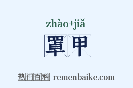 罩甲是什么意思的图片